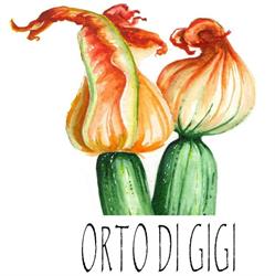 Orto di Gigi