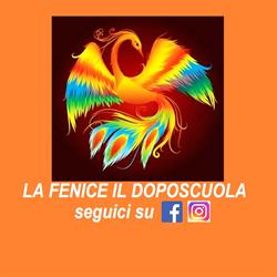La Fenice Il Doposcuola