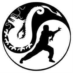 Traditional Kung-Fu Association