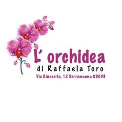 L'Orchidea Di Toro Raffaela