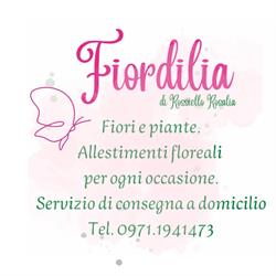 Fiordilia