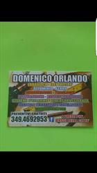 Ditta Domenico Orlando