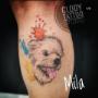 Gallery Cliente