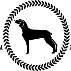 A Dog's Life Toelettatura