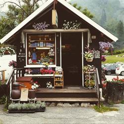 Bottega Della Lavanda E Del Miele