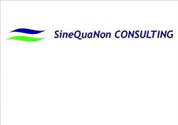 Sine Qua Non Consulting