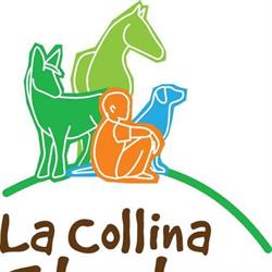 La Collina Storta