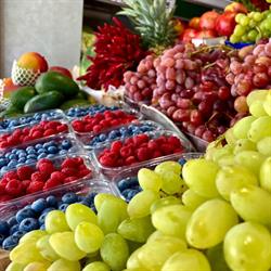 Frutta e Verdura Quinta Stagione
