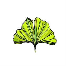 Spazio Ginkgo Aps