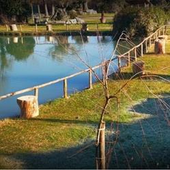 Lago campanella