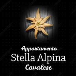 Appartamento vacanze Stella Alpina a Cavalese
