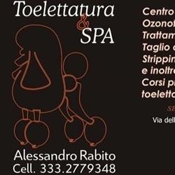 Toelettatura E Spa