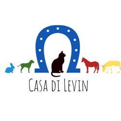 Casa di Levin - APS