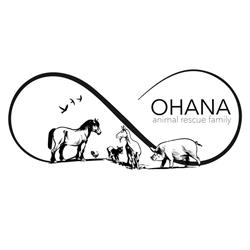 Ohana Animal Rescue Family ODV
