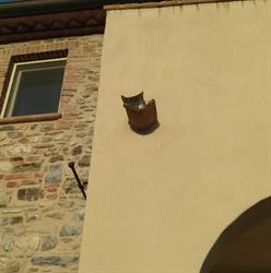 Az. agr. Poggio alla Casetta