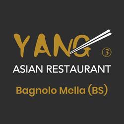 YANG Asian Restaurant - Bagnolo Mella