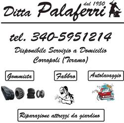 Ditta Palaferri dal 1950
