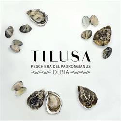 Tilusa peschiera