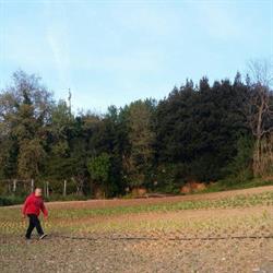 Azienda Agricola Paludi Gabriele Antonio Ortona