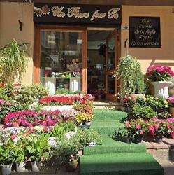 Un fiore per te