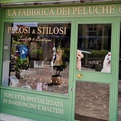 Pelosi & Stilosi Toeletta Specializzata in Barboncini e Maltesi