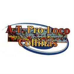 A.T. Pro loco Collinas