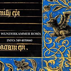 Artificialia, Wunderkammer Roma