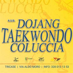 DOJANG TAEKWONDO COLUCCIA