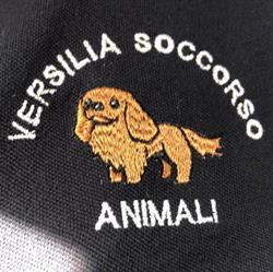 Versilia Soccorso Animali ODV