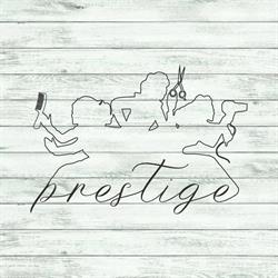Salone Prestige