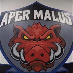 Crossfit Aper Malus