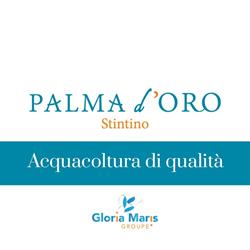 Palma d'Oro