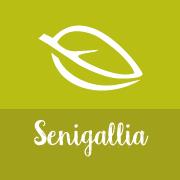 La Saponaria - Biostorie Senigallia (Senigallia, Marche)