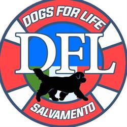 DFL - Dogs For Life