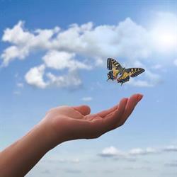Centro Psicologia e Psicoterapia Limbiate