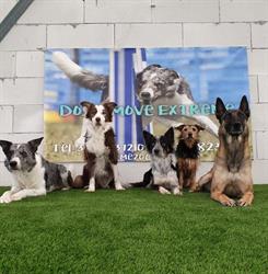 Dog's Move Extreme