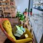 Gallery Cliente