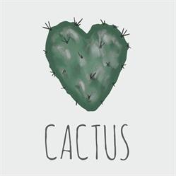 cactus.palazzolo