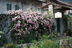 Ricami e Passioni