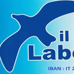 Il gabbiano laborioso