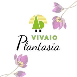 Vivaio Plantasia