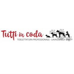 Tutti In Coda