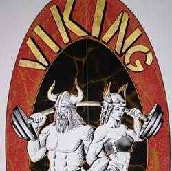 Viking GYM