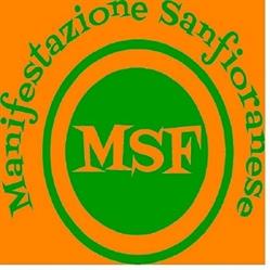 Manifestazione Sanfioranese