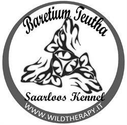 Baretium Teutha Saarloos Kennel