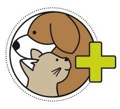VET Team Campei