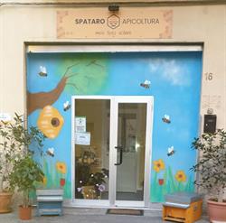 Spataro Apicoltura