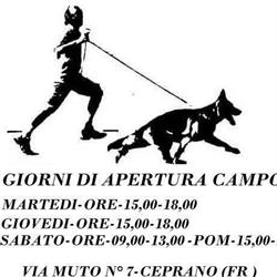 Team Botticelli