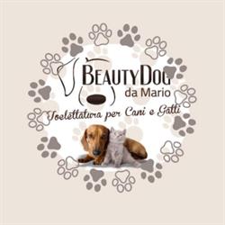 Beauty Dog