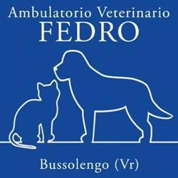 Ambulatorio veterinario Fedro